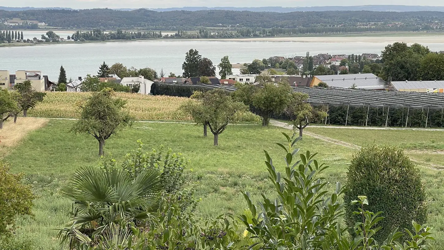 Appartement à louer - Weingartenstrasse 16, 8269 Fruthwilen