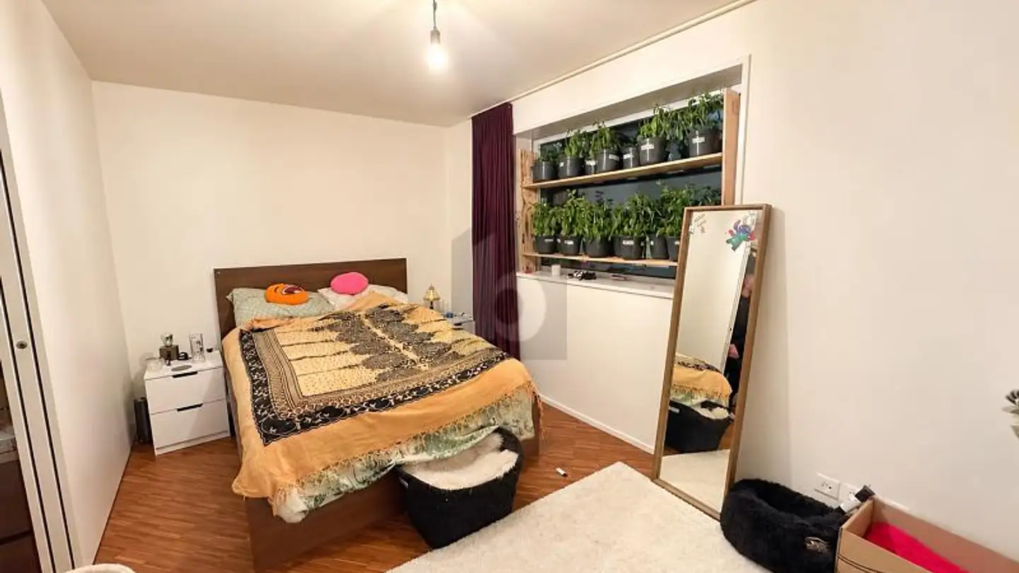 Apartment for rent - 5000 Aarau - Photo 2