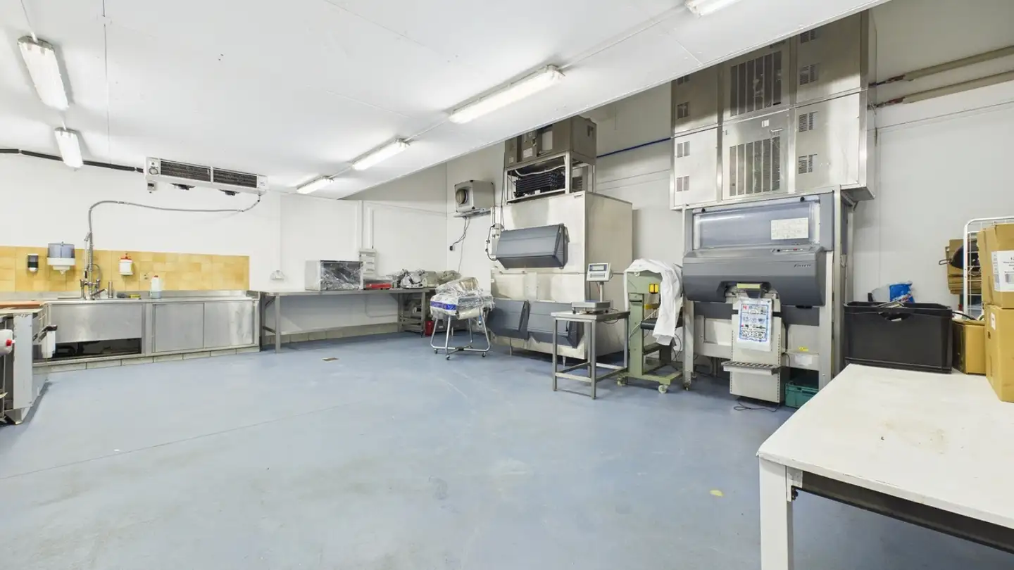 Industrieimmobilie kaufen - 1920 Martigny