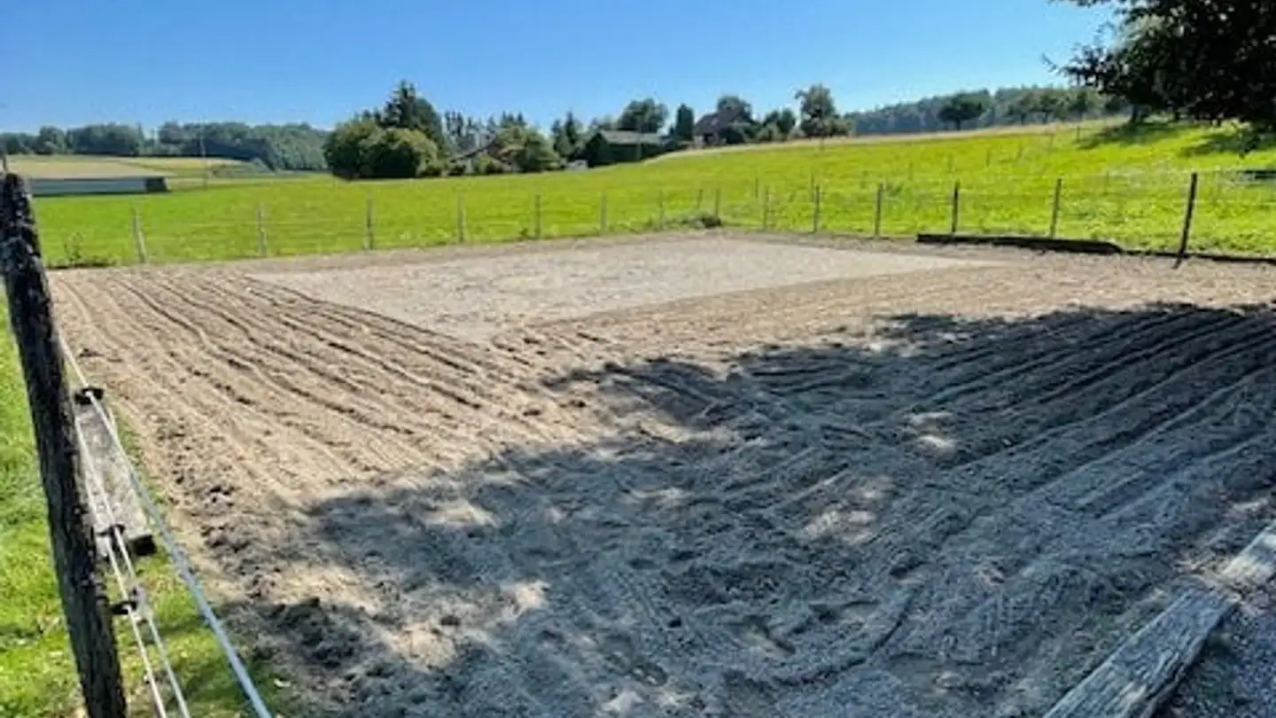 Wohnung mieten - 4584 Lüterswil - Foto 4