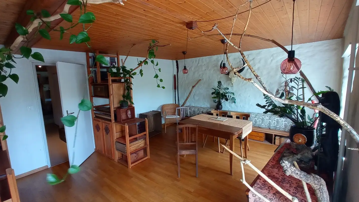 Stanza singola in affitto - Brunnenmühleweg 11, 5200 Brugg AG - Photo 3