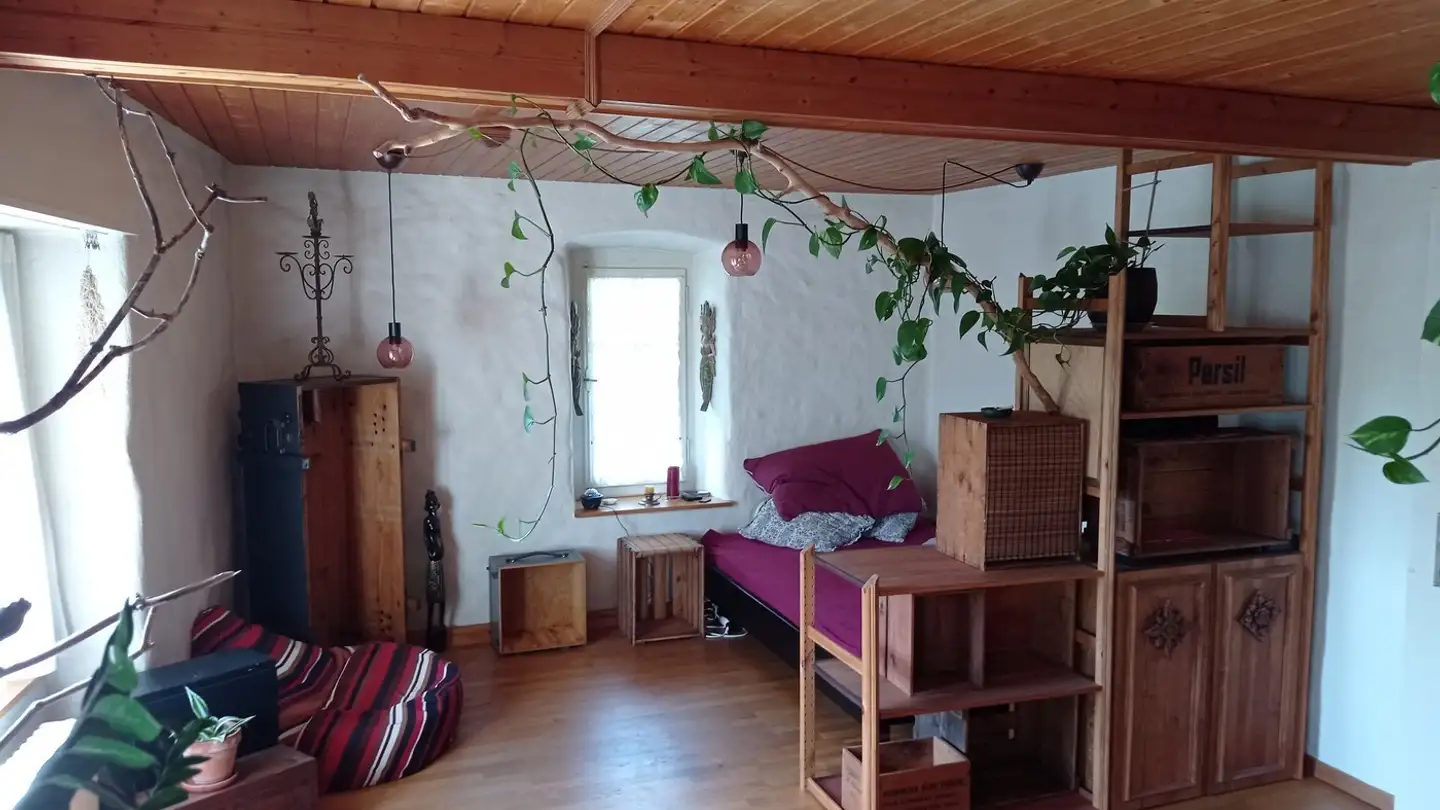 Stanza singola in affitto - Brunnenmühleweg 11, 5200 Brugg AG - Photo 4