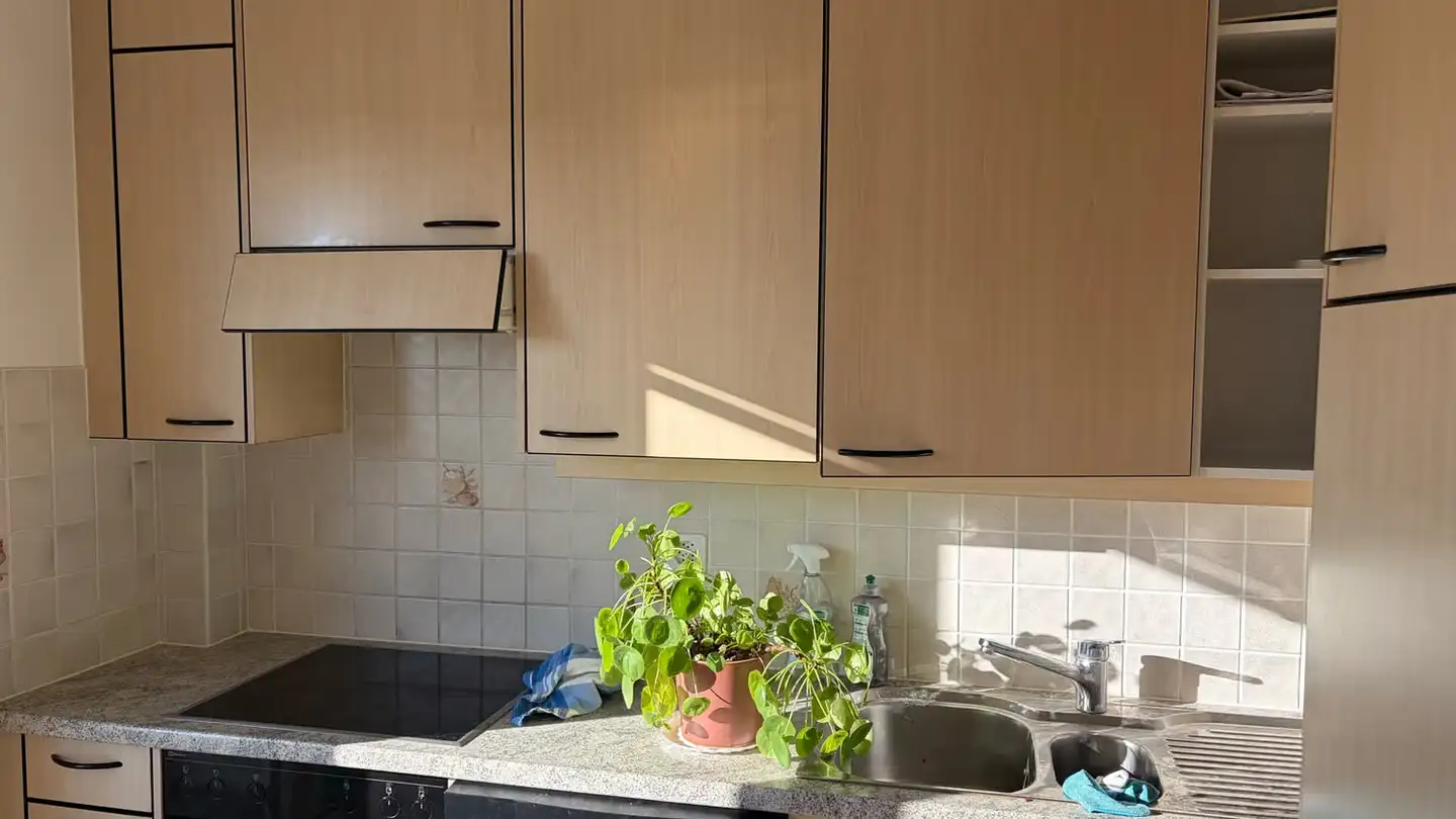 Apartment for rent - Chemin De Fontenay, 1007 Lausanne - Photo 2