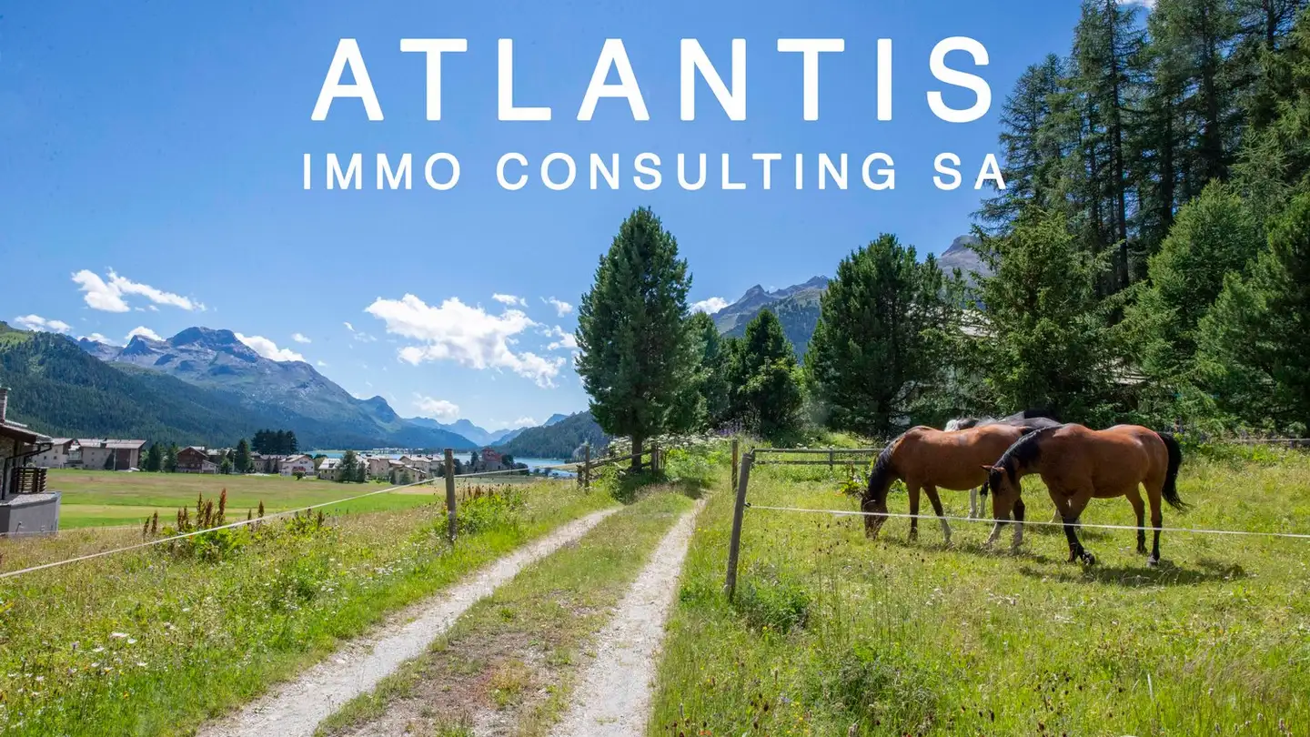 Appartement à louer - 7513 Silvaplana-Surlej