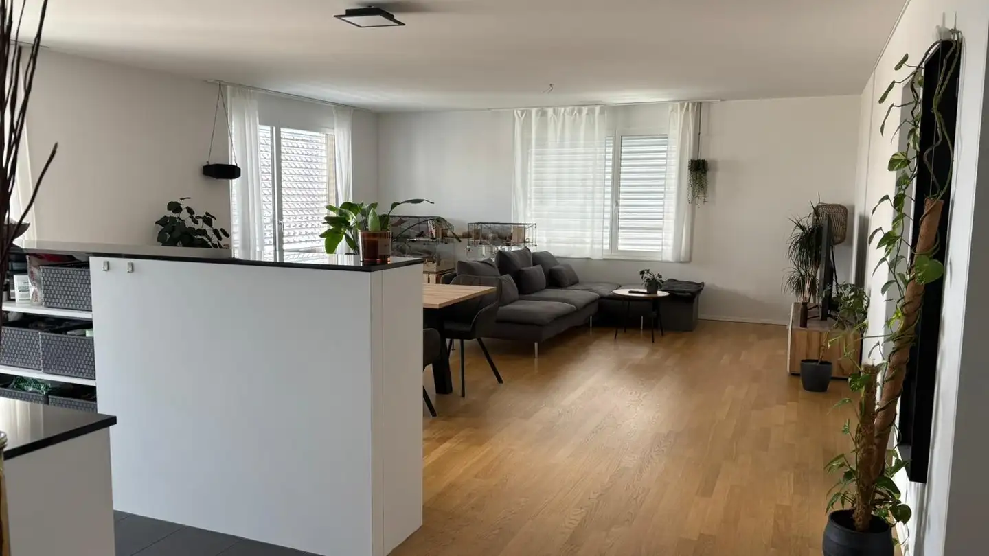 Wohnung mieten - Seestrasse 147, 8820 Wädenswil