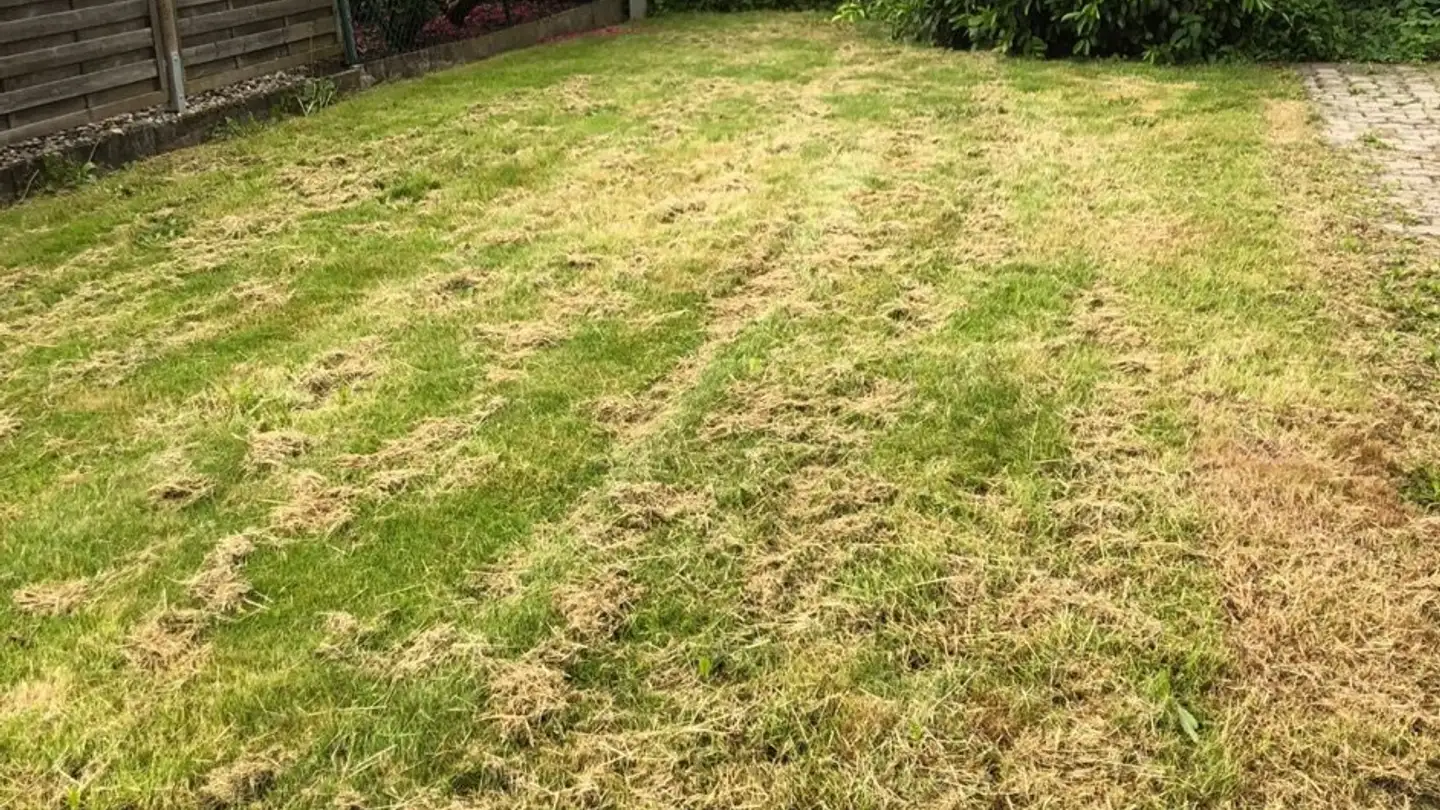 Maison individuelle à louer - Niesenweg 6, 4552 Derendingen - Photo 2