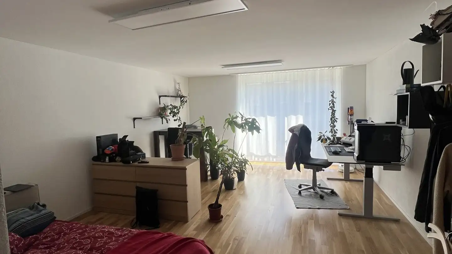 Appartamento in affitto - 8052 Zürich