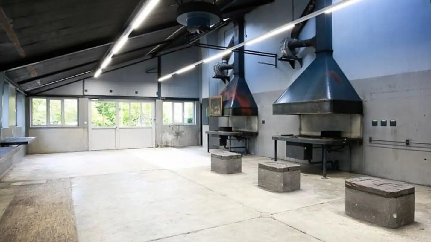 Commerciale in affitto - Aareweg 19, 3270 Aarberg - Photo 2