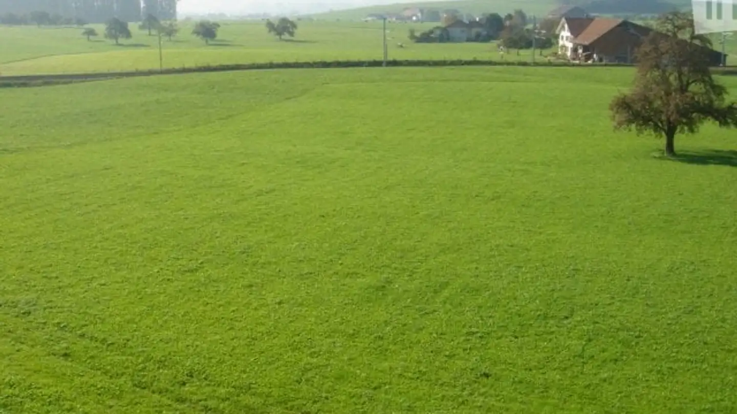 Maison individuelle à louer - Hauptstrasse 11, 9553 Bettwiesen - Photo 2