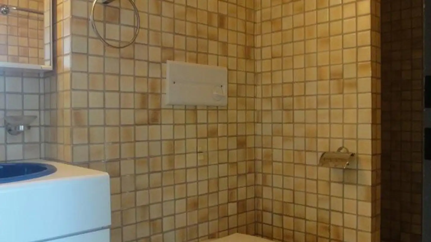 Apartment for rent - Wiesliacher 95, 8053 Zürich - Photo 4