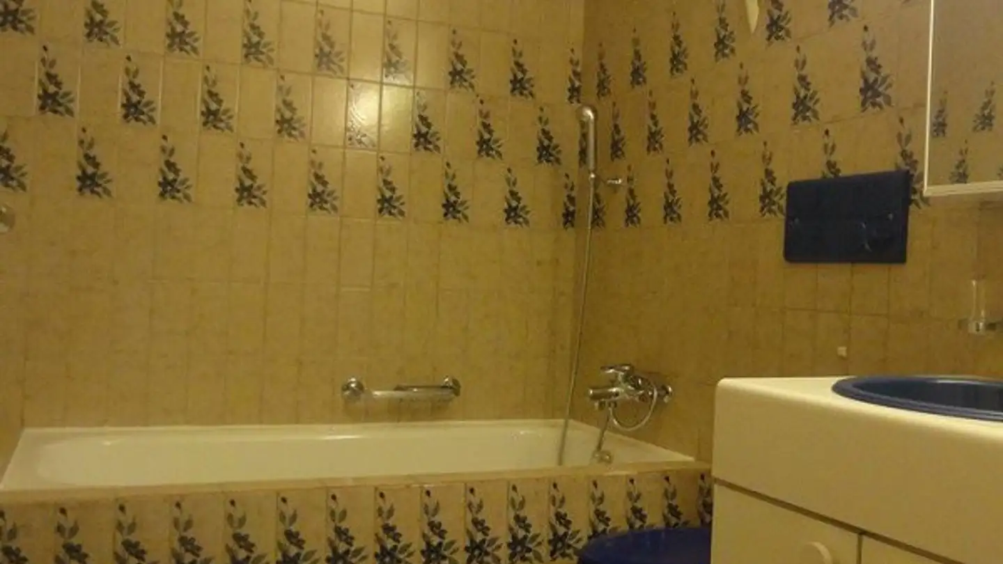 Apartment for rent - Wiesliacher 95, 8053 Zürich - Photo 3