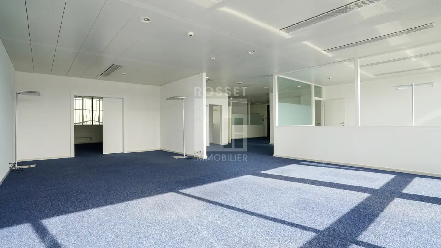 Spazio ufficio in affitto - Chemin Des Papillons 4, 1216 Cointrin - Photo 3