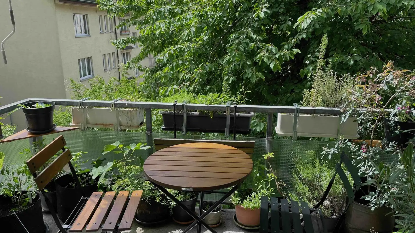 Appartement à louer - 8037 Zürich - Photo 2