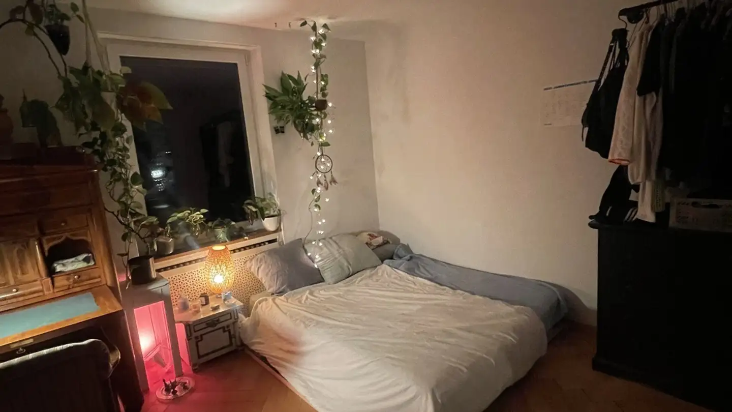 Stanza singola in affitto - 8004 Zürich