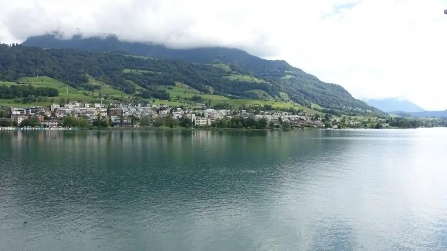 Appartement à louer - Luzernerstrasse 41, 6403 Küssnacht am Rigi