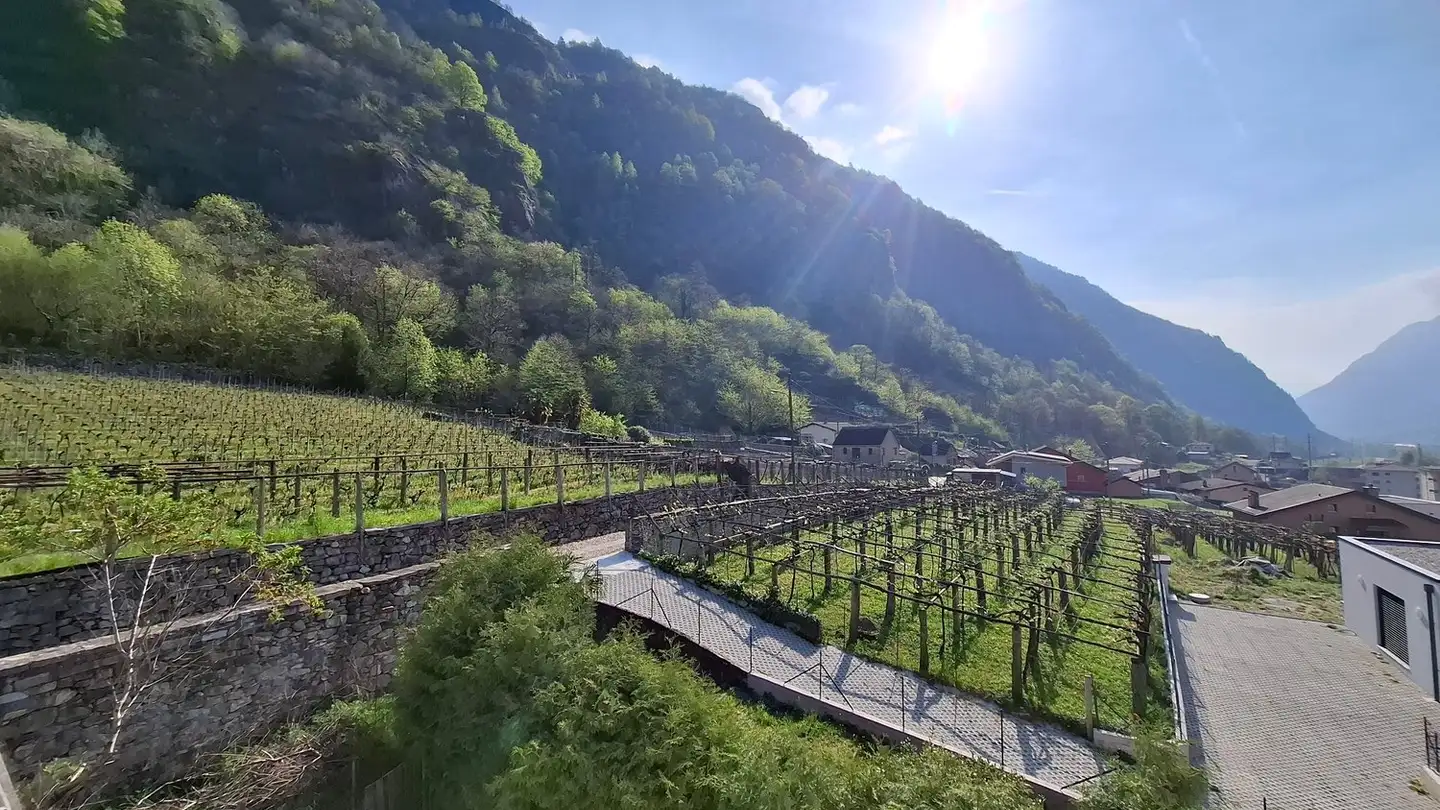 Maison individuelle à vendre - 6745 Giornico