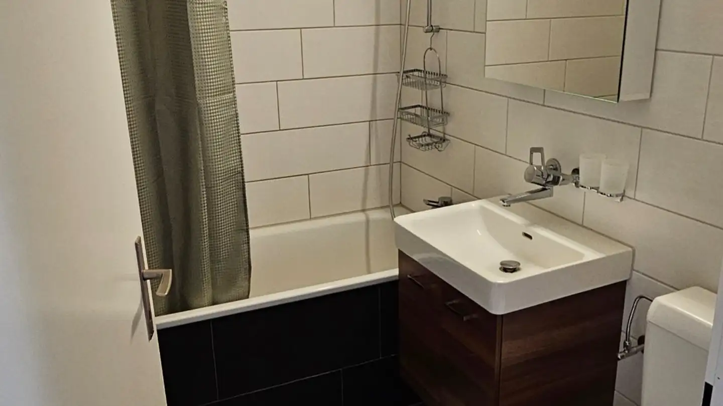 Appartamento in affitto - Wehntalerstrasse 562, 8046 Zürich - Foto 4