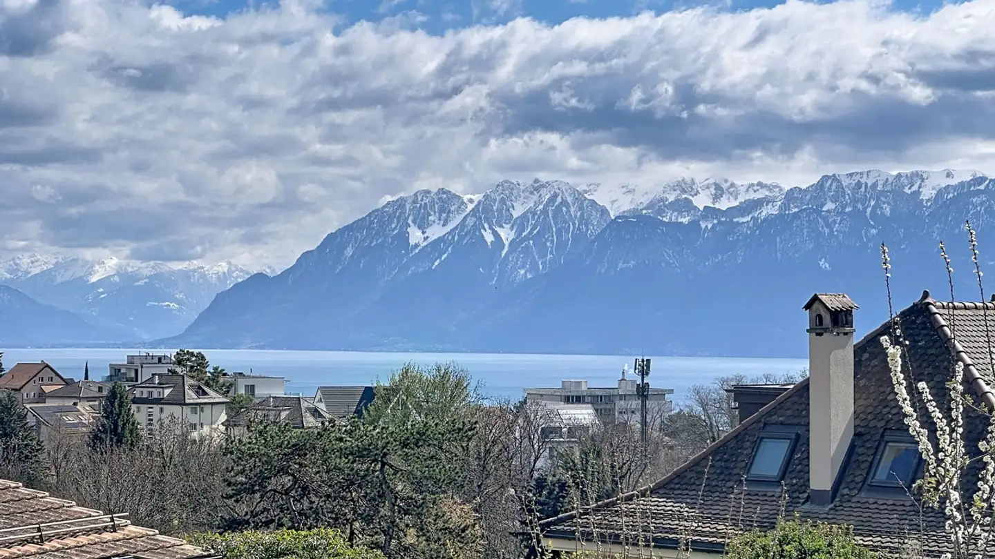 Appartement à louer - 1005 Lausanne