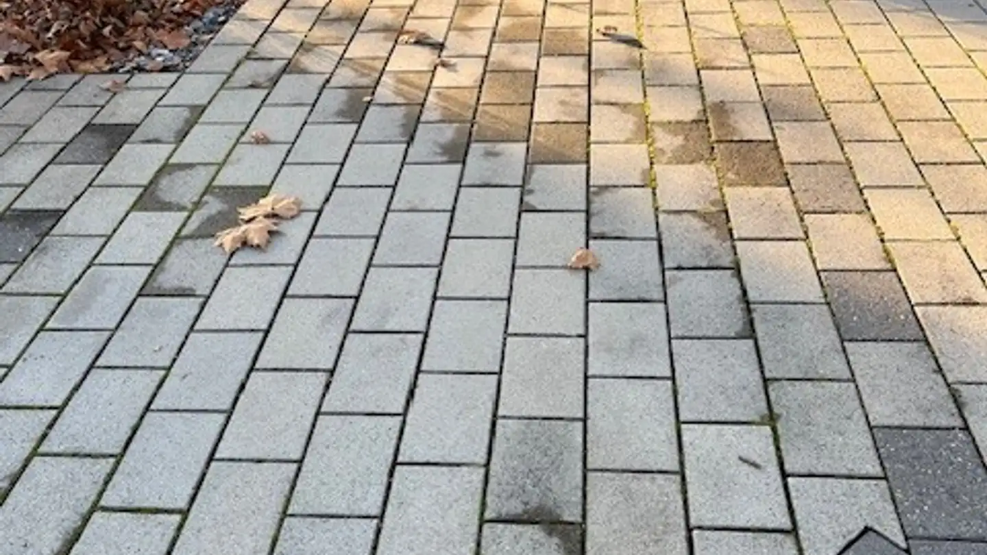 Parkplatz im Freien mieten - Russikerstrasse 54, 8330 Pfäffikon ZH