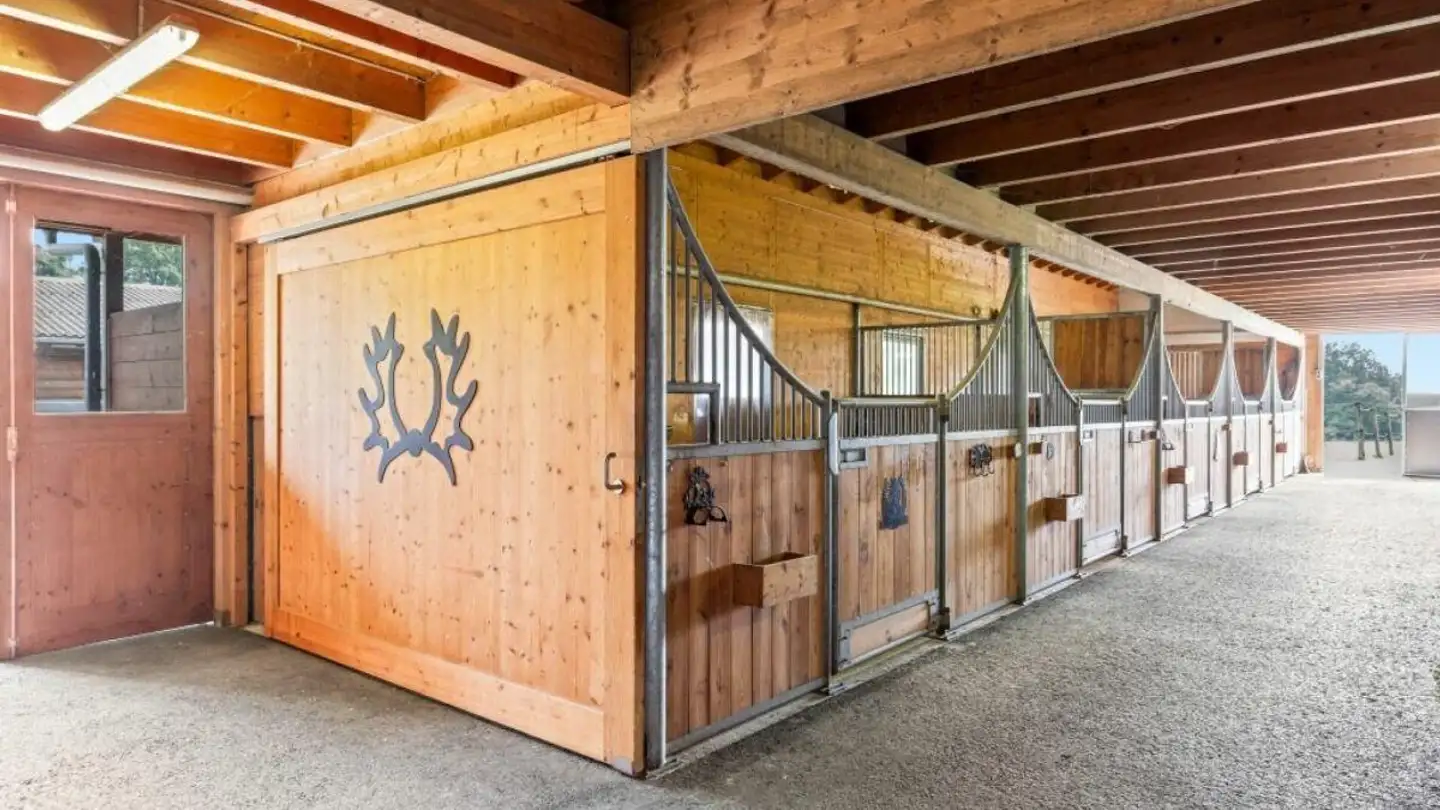 Riding hall for sale - Hauptstrasse, 8508 Homburg - Photo 3