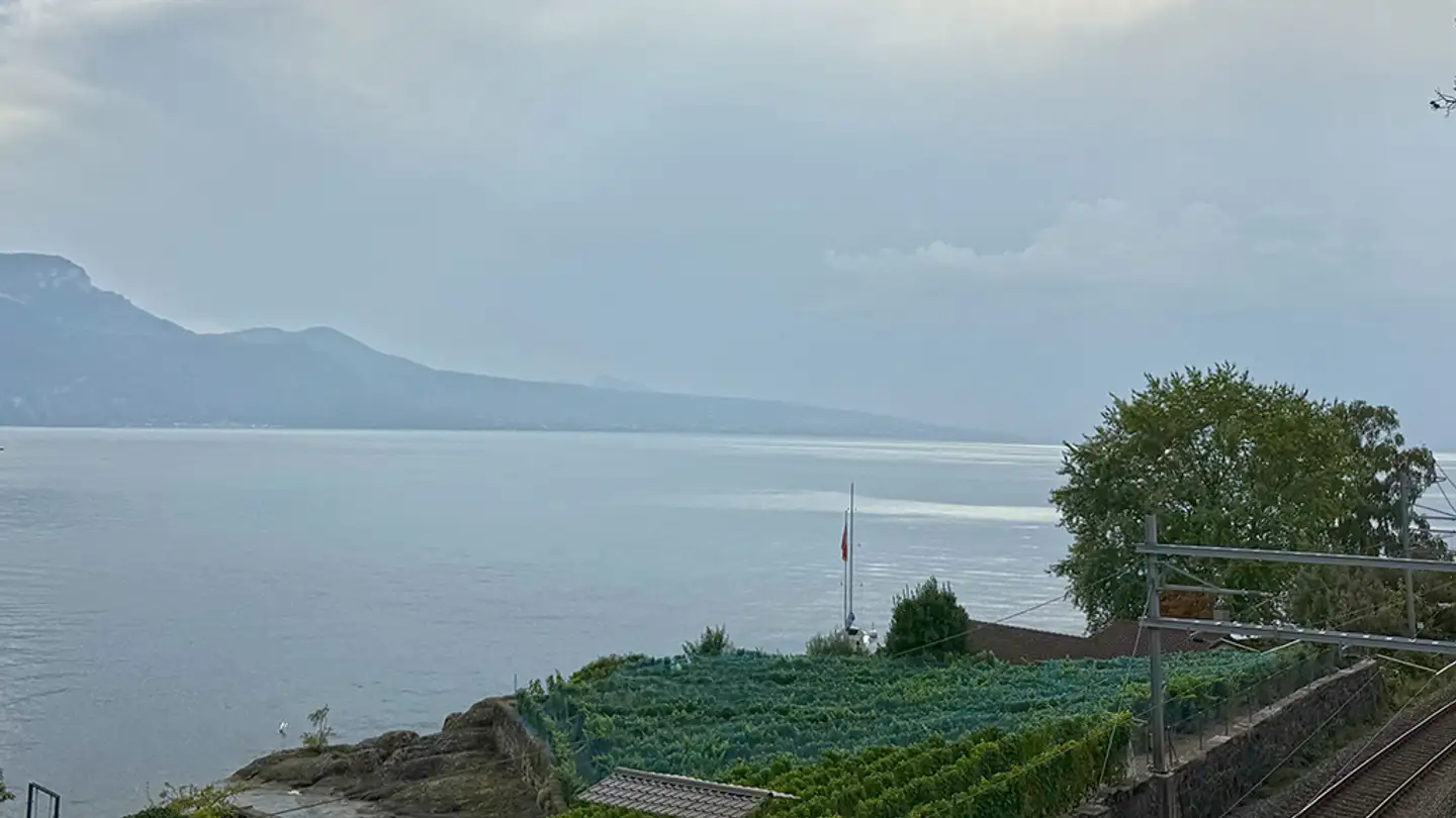 Apartment for sale - 1071 Rivaz - Photo 4