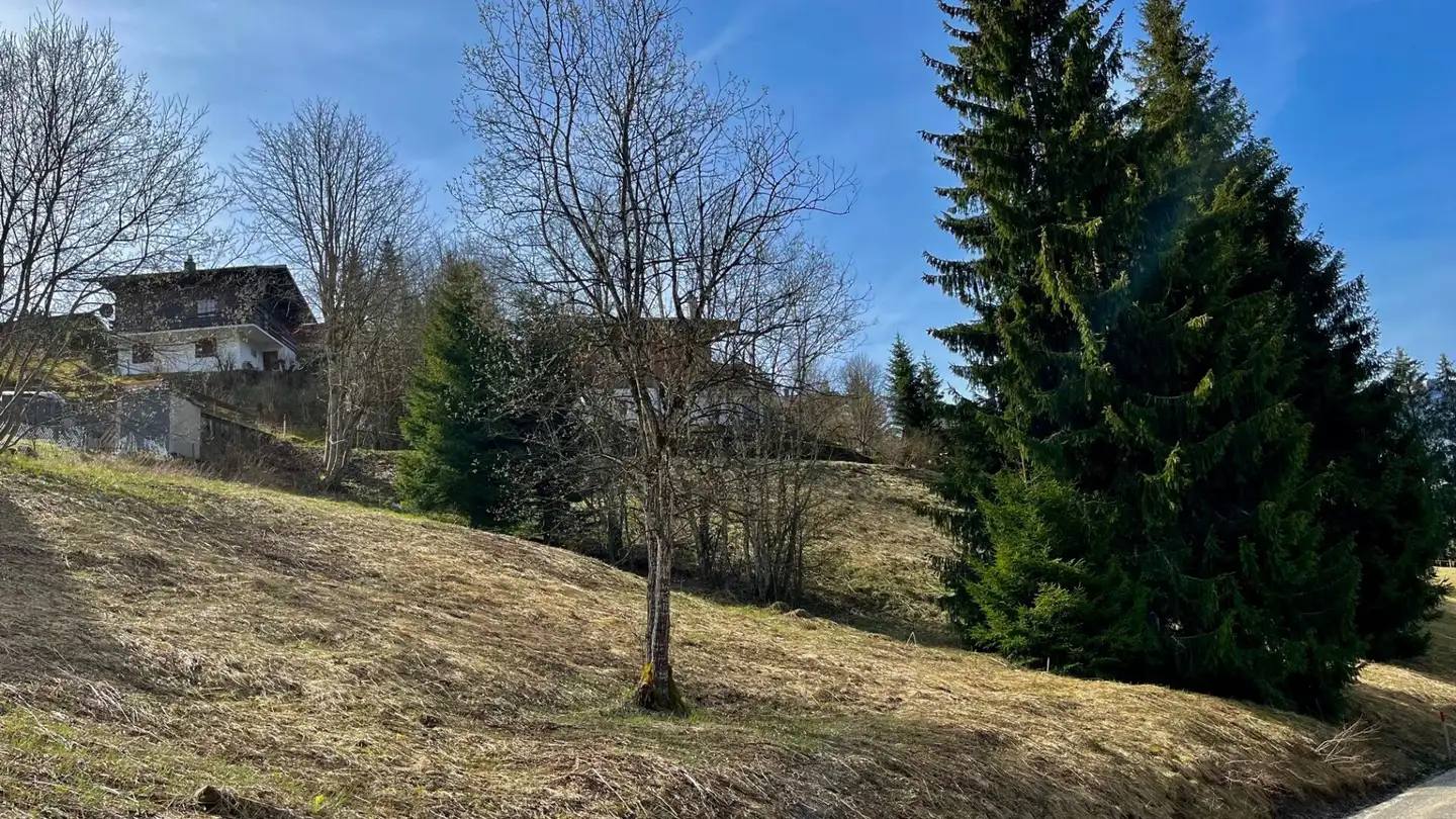 Terrain constructible à vendre - 1716 Plaffeien - Photo 4