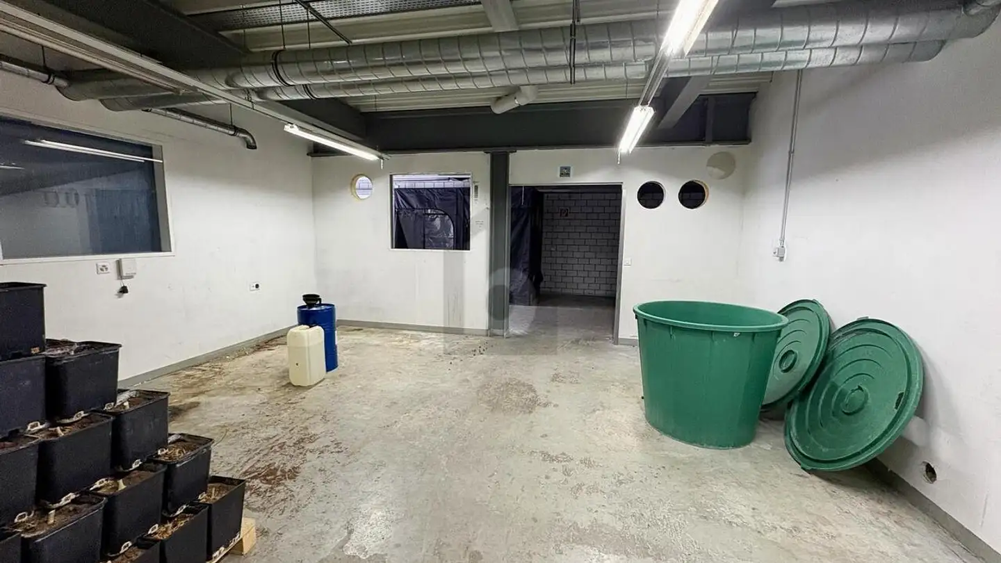 Proprietà industriale in affitto - 8630 Rüti ZH - Foto 3