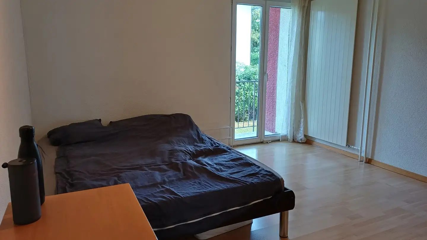 Apartment for rent - Luegislandstrasse 337, 8051 Zürich - Photo 2