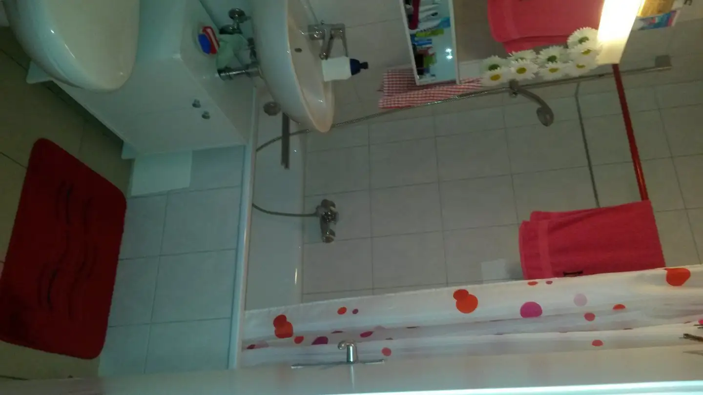 Appartamento in affitto - Schlettstadterstrasse 1, 4055 Basel - Foto 4