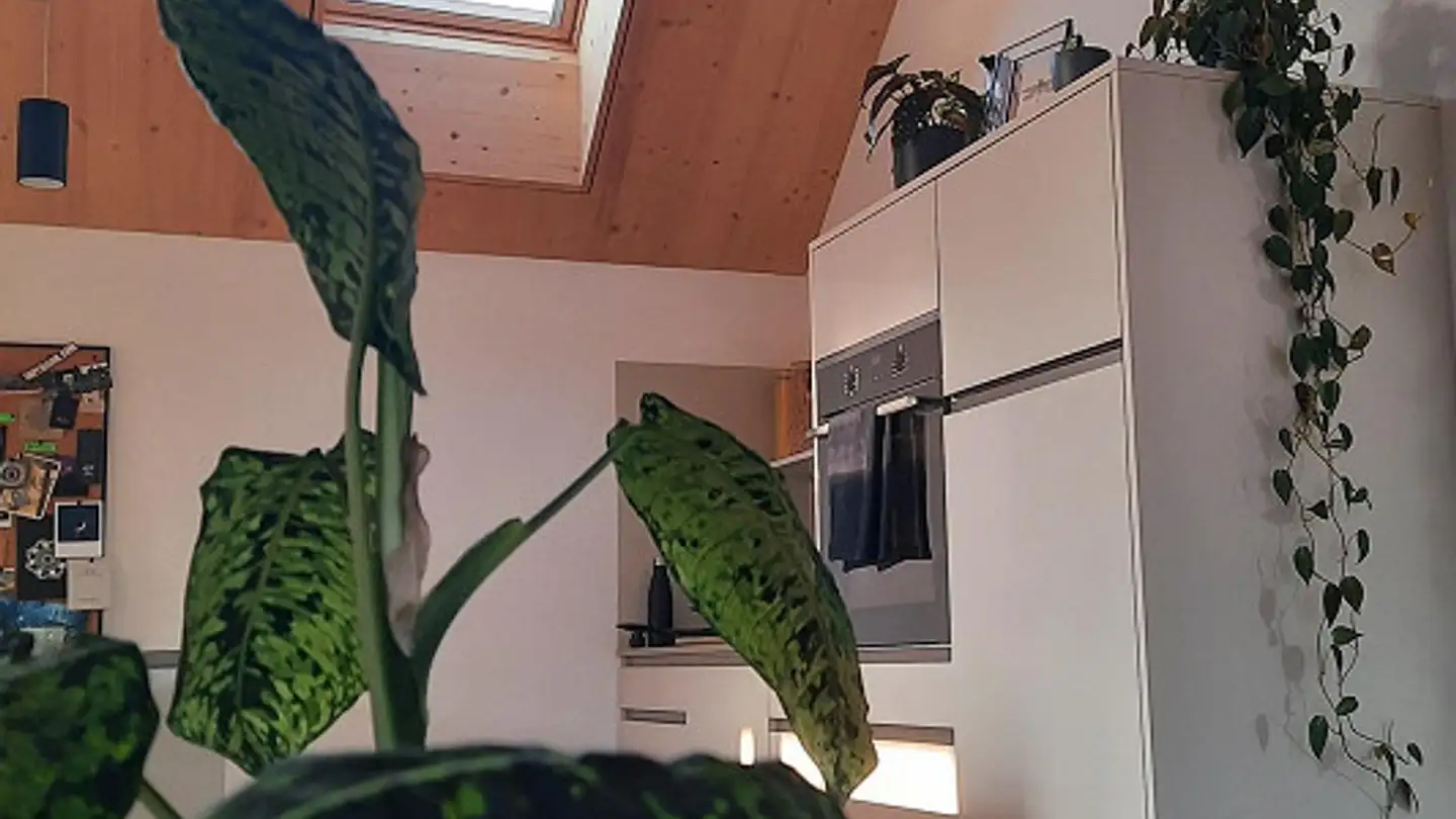 Penthouse for rent - St. Justusweg 1, 8890 Flums