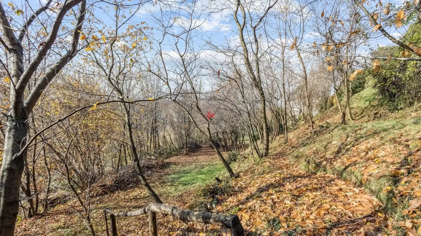 Terreno edificabile in vendita - Ar Ronchée 27, 6999 Astano - Foto 3