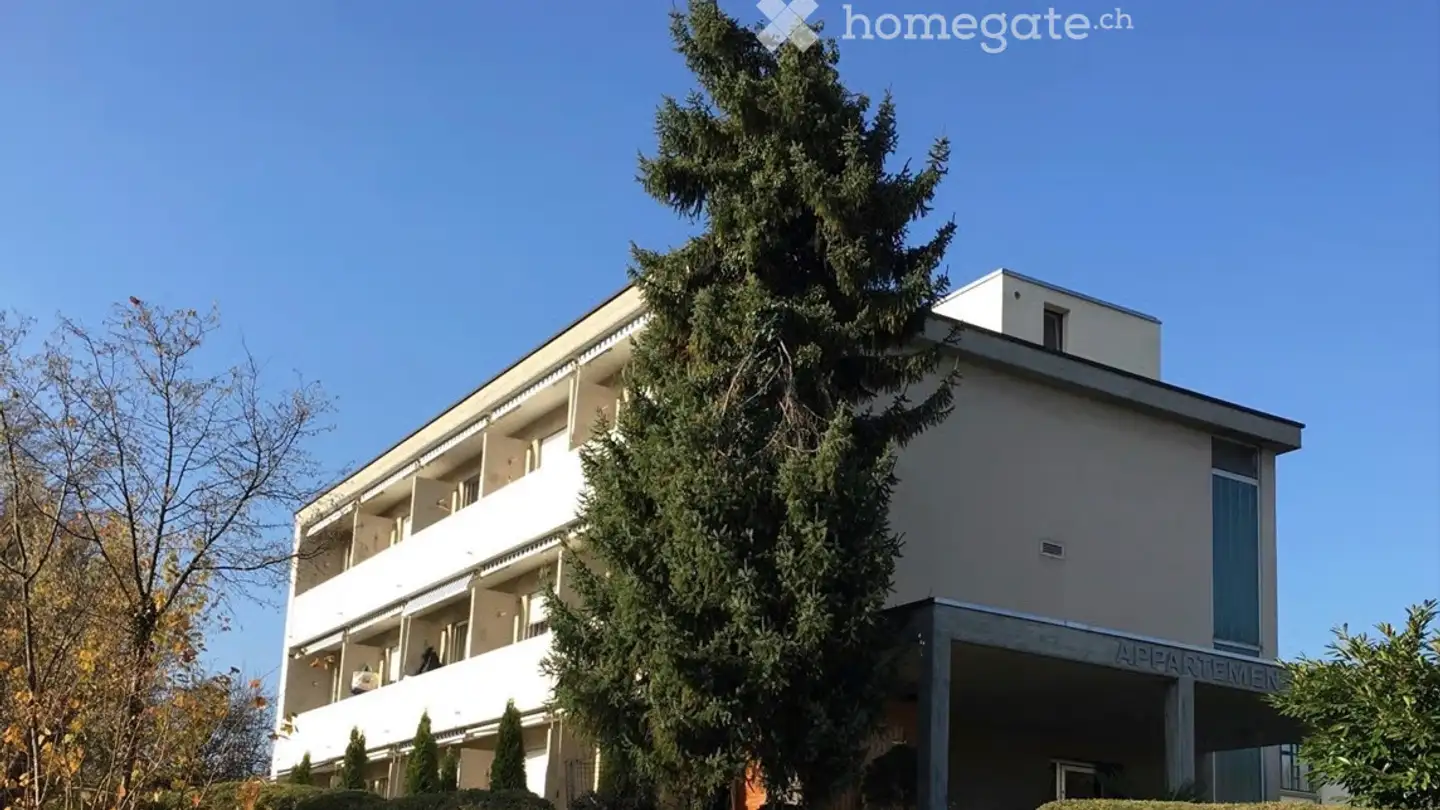 Apartment for rent - Bergstrasse 55, 8706 Meilen