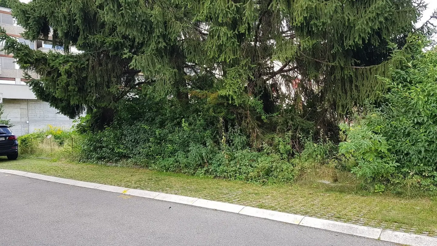 Parkplatz im Freien mieten - 2502 Biel/Bienne