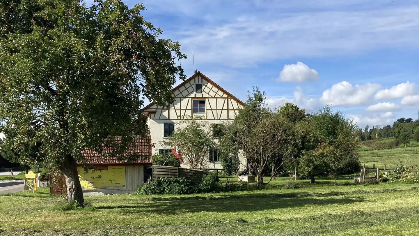 Single house for sale - Hagenstalstrasse 9, 8523 Hagenbuch ZH