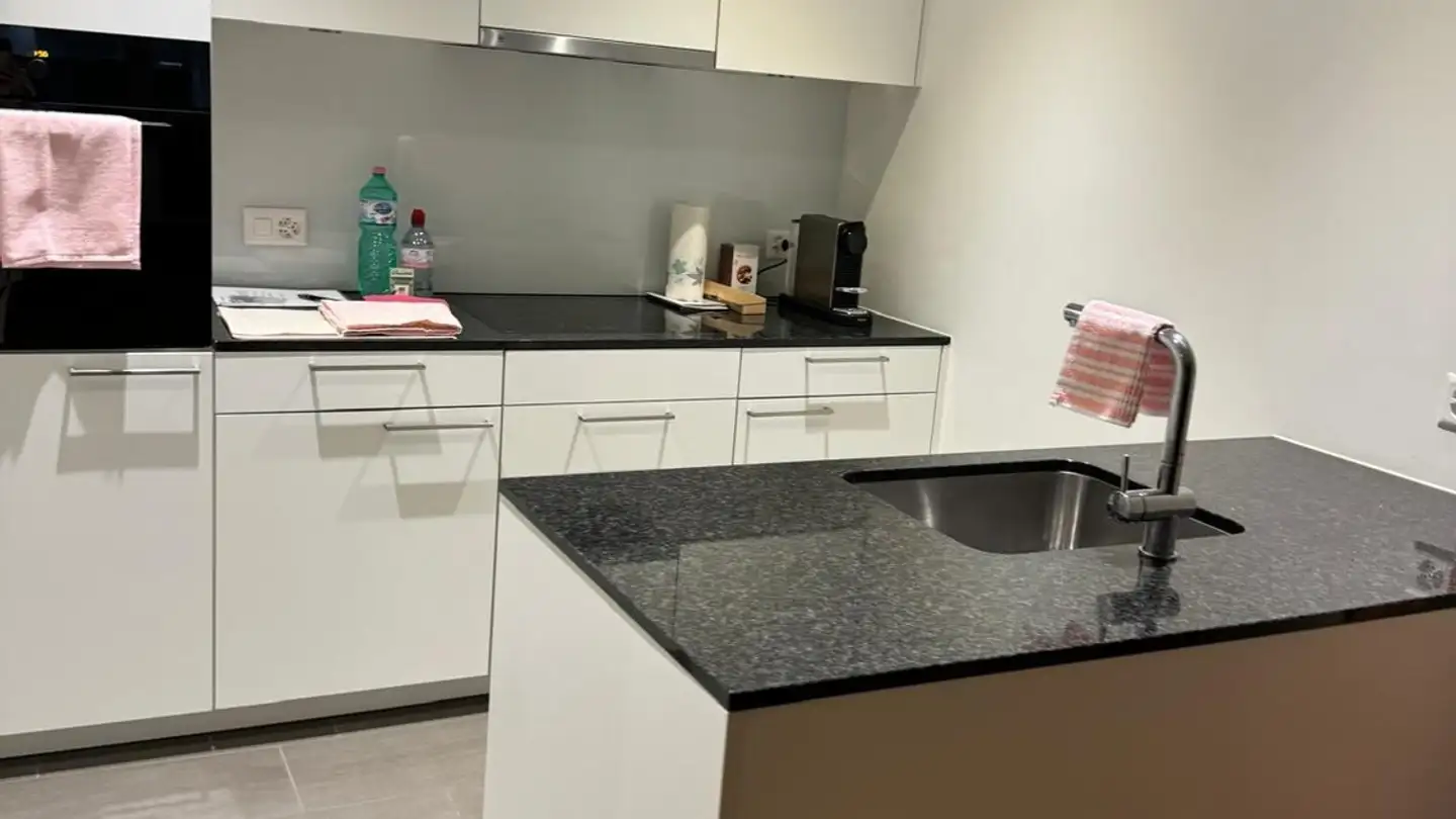 Appartamento in affitto - Zugerstrasse 43, 8820 Wädenswil