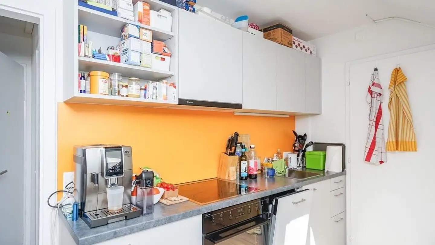 Appartement à louer - Elfenauweg 9, 3006 Bern - Photo 3