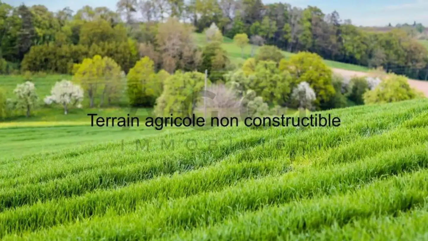 Terrain constructible à vendre - 1233 Bernex