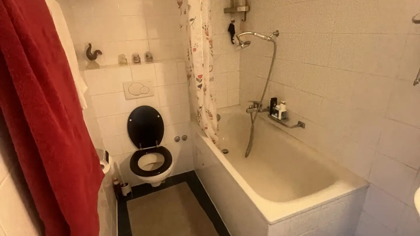 Chambre à louer - Route De Saint-Julien 8, 1227 Carouge GE - Photo 4