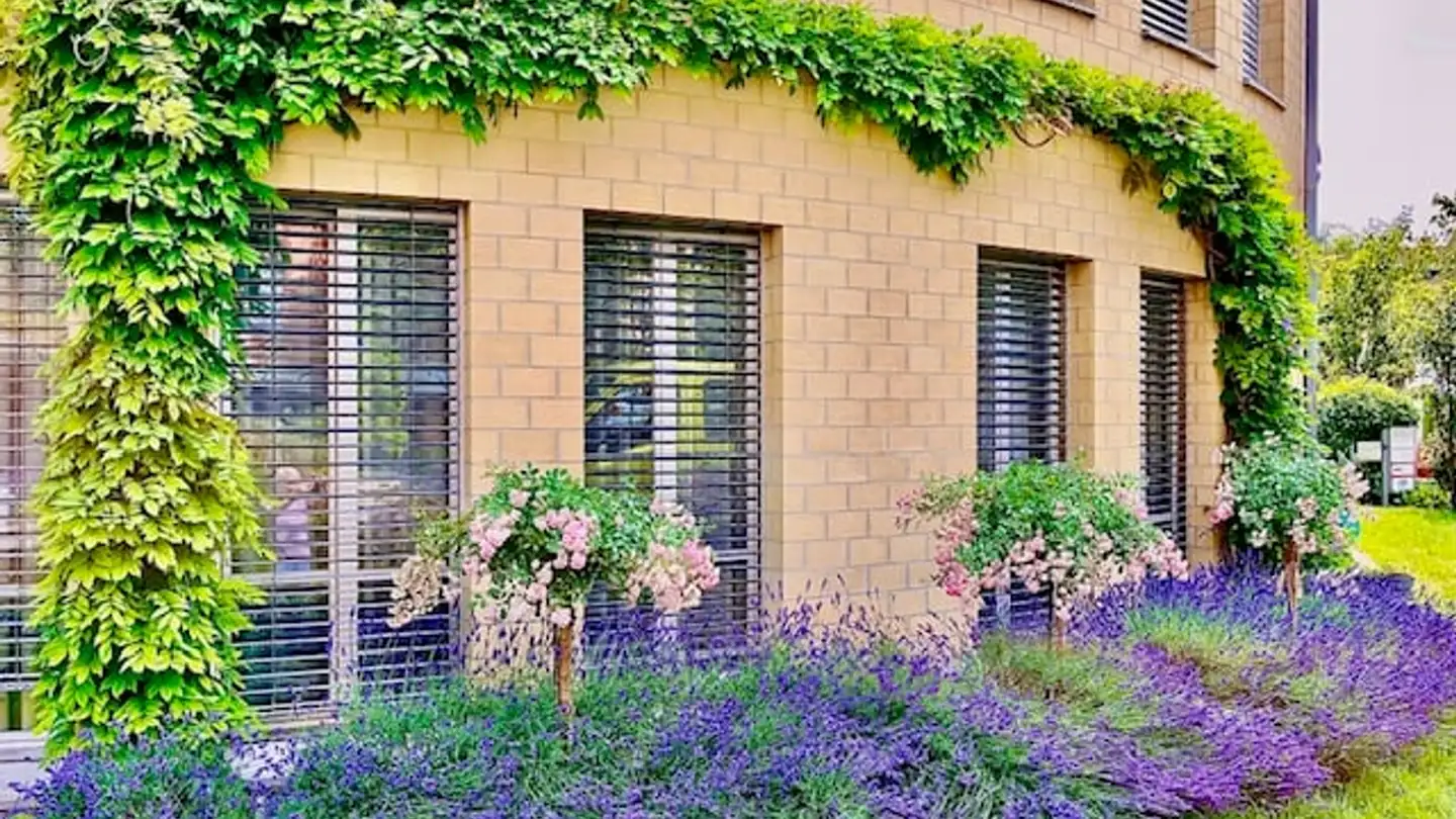 Studio medico in affitto - Rosenweg 25, 3007 Bern