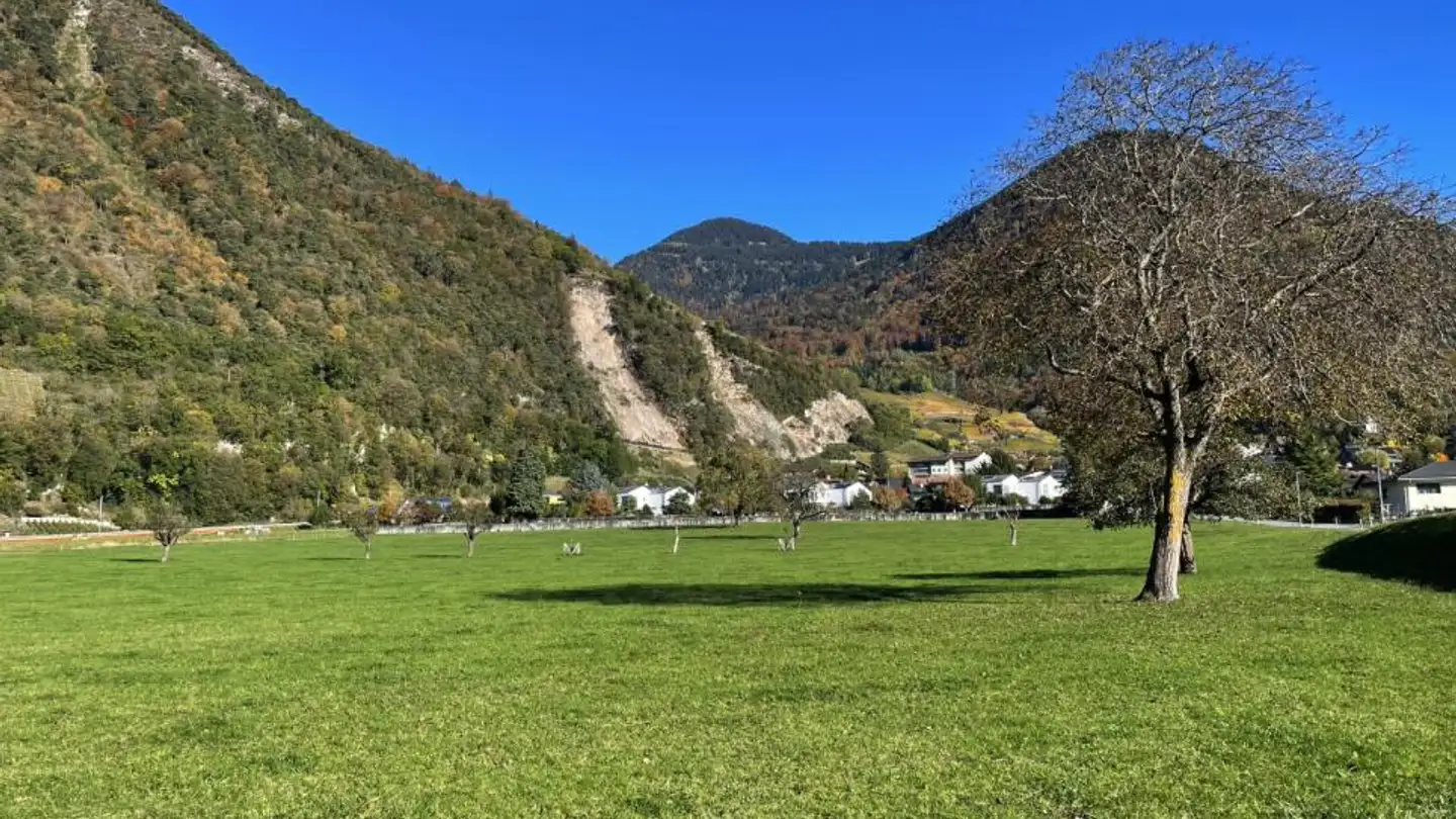 Bauland kaufen - 1867 Ollon VD - Foto 2