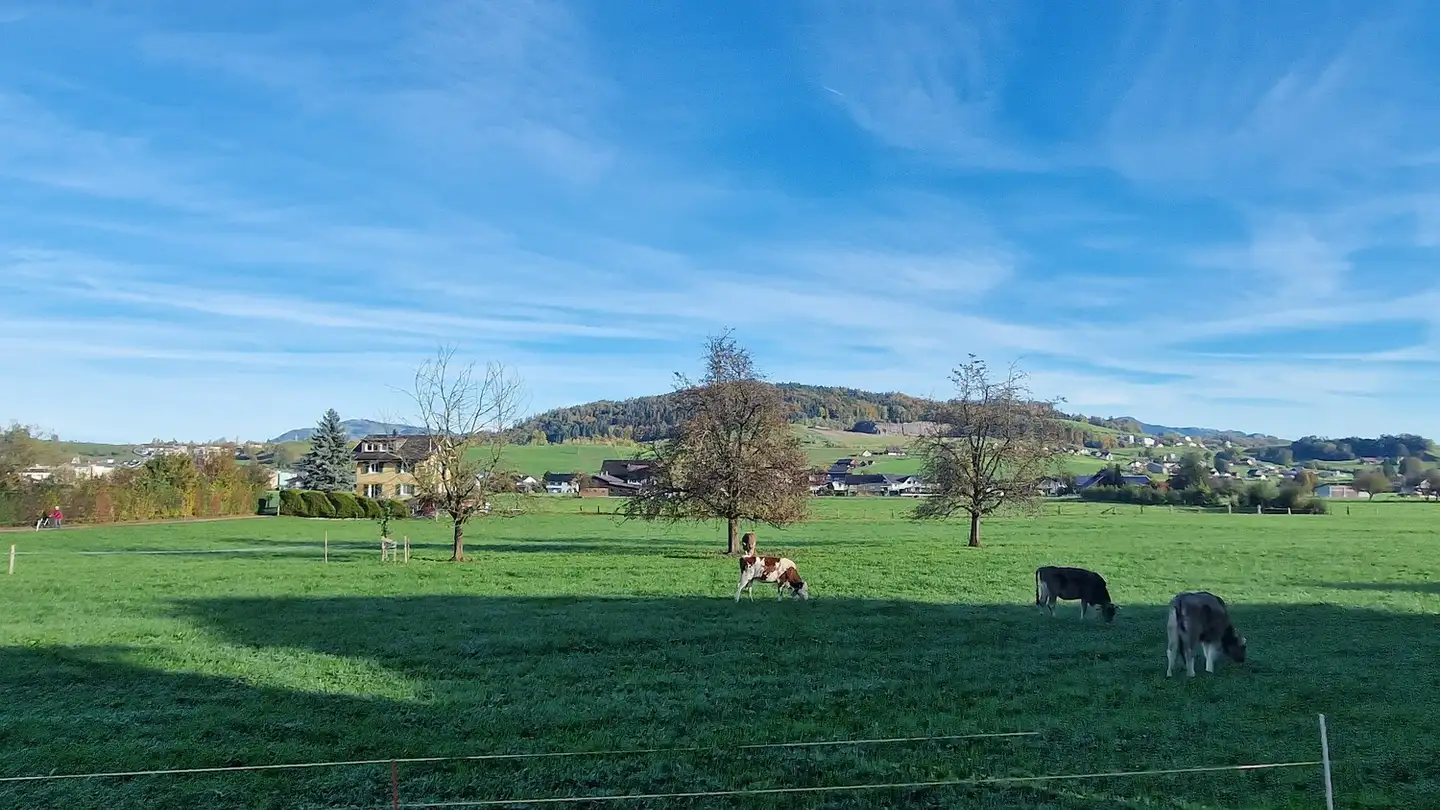 Zimmer mieten - Perronweg 10, 8855 Wangen SZ - Foto 2