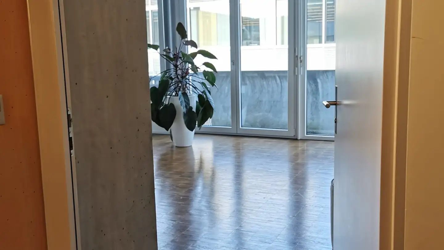 Apartment for rent - Hammerweg 4, 8304 Wallisellen - Photo 2