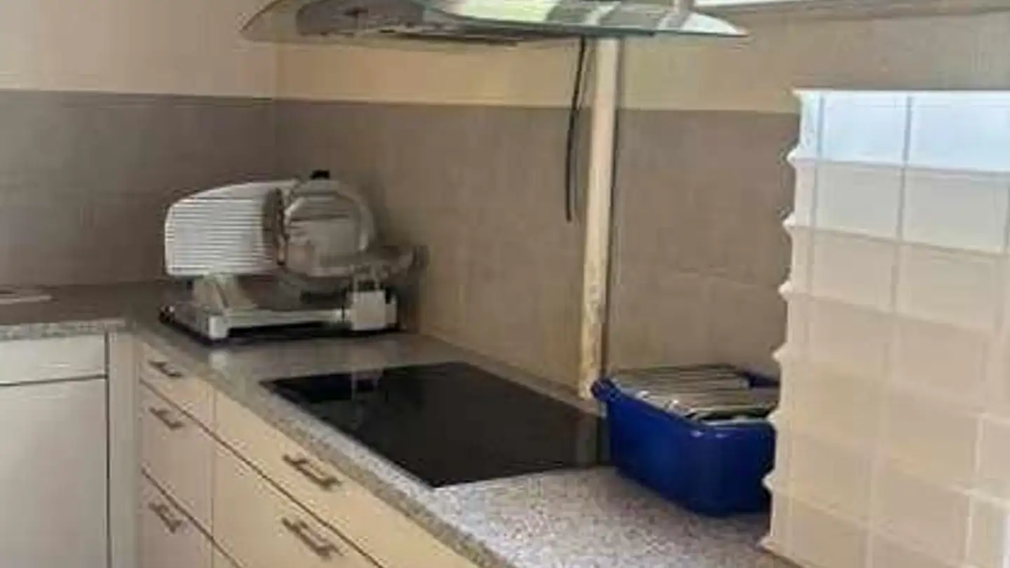 Commercial à louer - Unterer Aareweg 1, 3250 Lyss - Photo 2