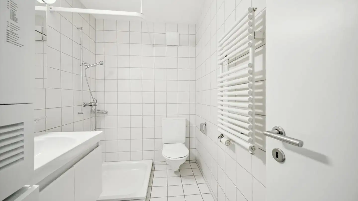 Appartamento in affitto - Binzmühlestrasse 76a, 8050 Zürich - Foto 3