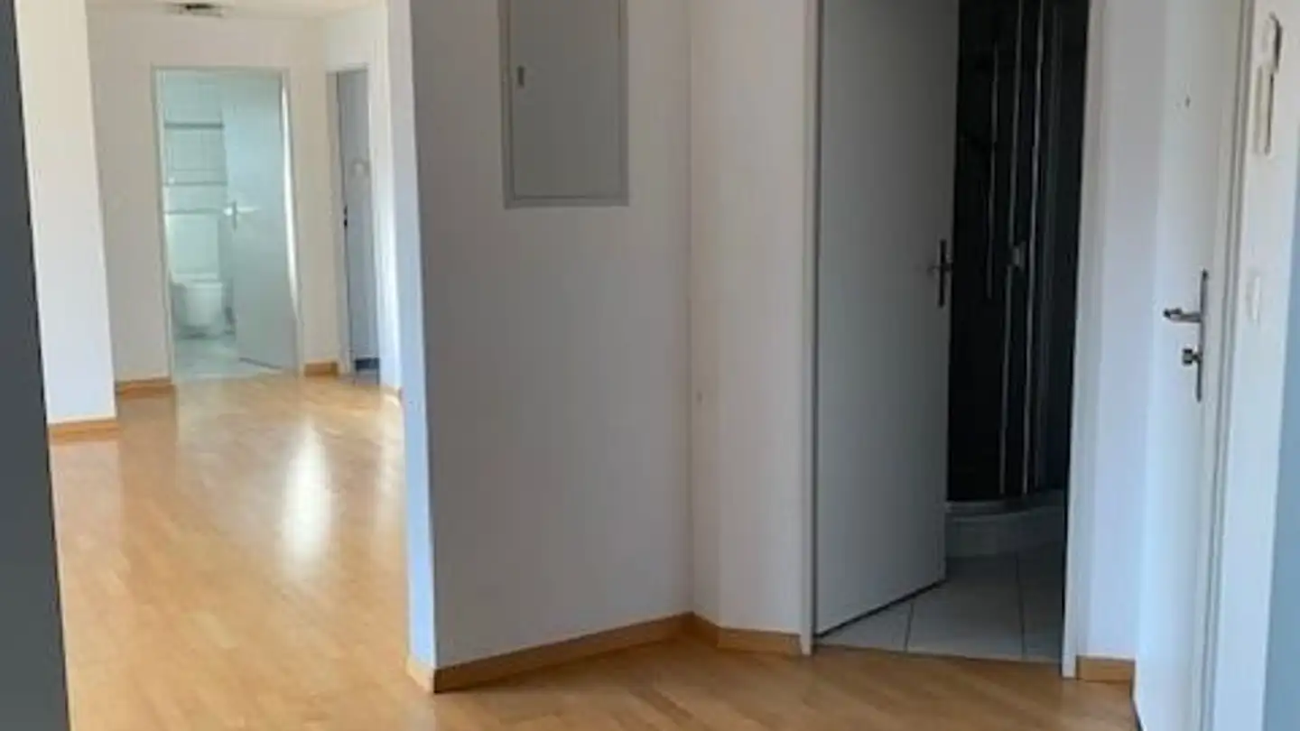 Appartamento in affitto - Hirschweg 7, 8500 Frauenfeld - Foto 4