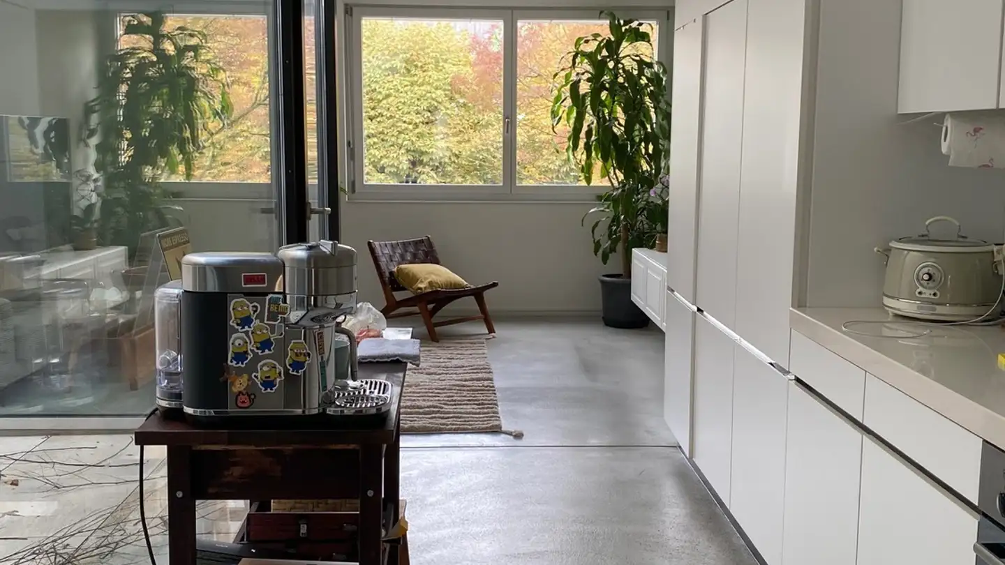 Appartamento in affitto - Brandstrasse 33, 8952 Schlieren
