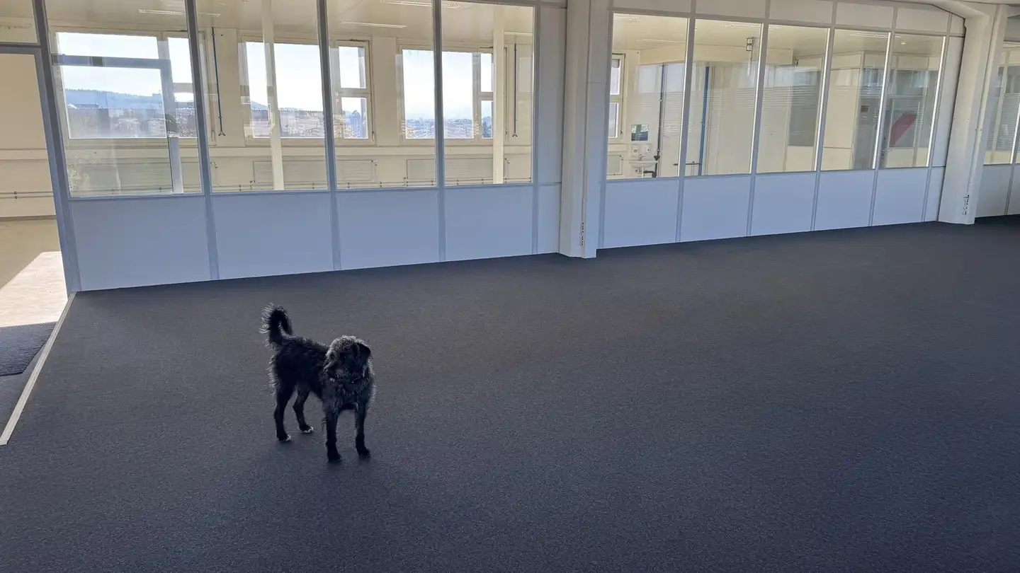 Spazio ufficio in affitto - Allmendweg 4, 4528 Zuchwil - Photo 2