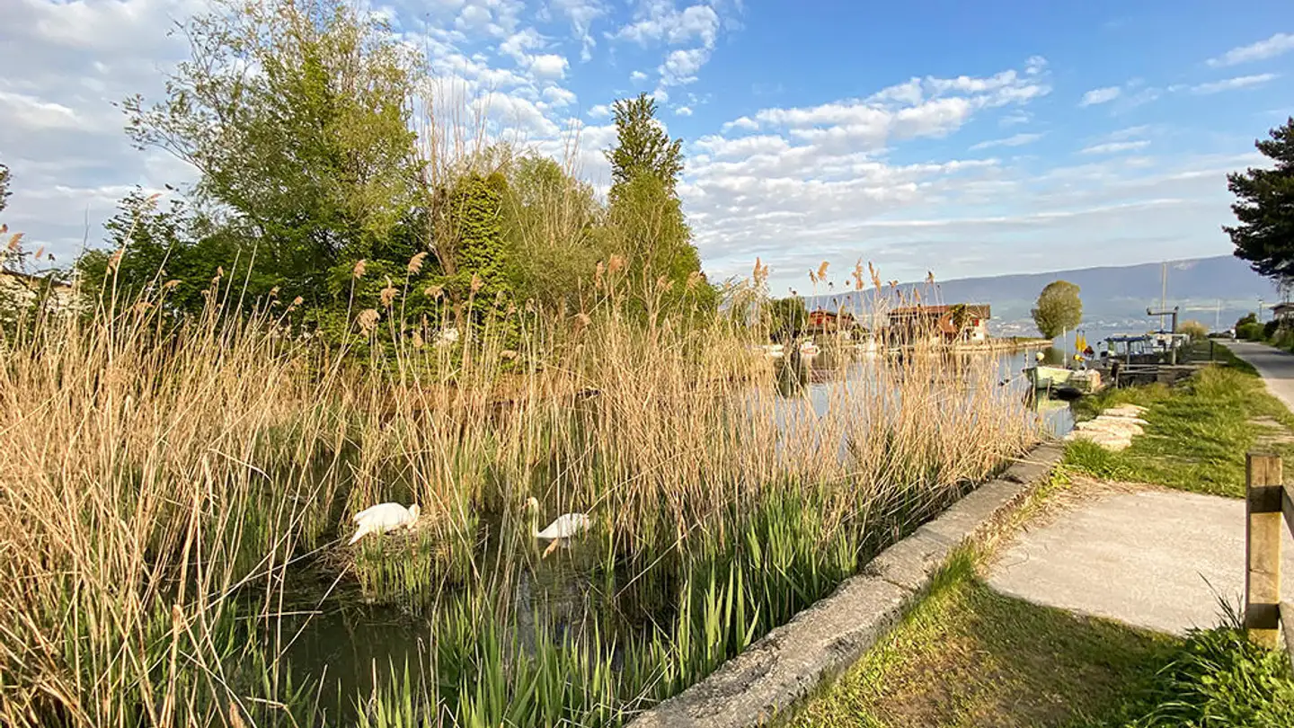 Edificio residenziale in vendita - 1470 Estavayer-le-Lac - Foto 2