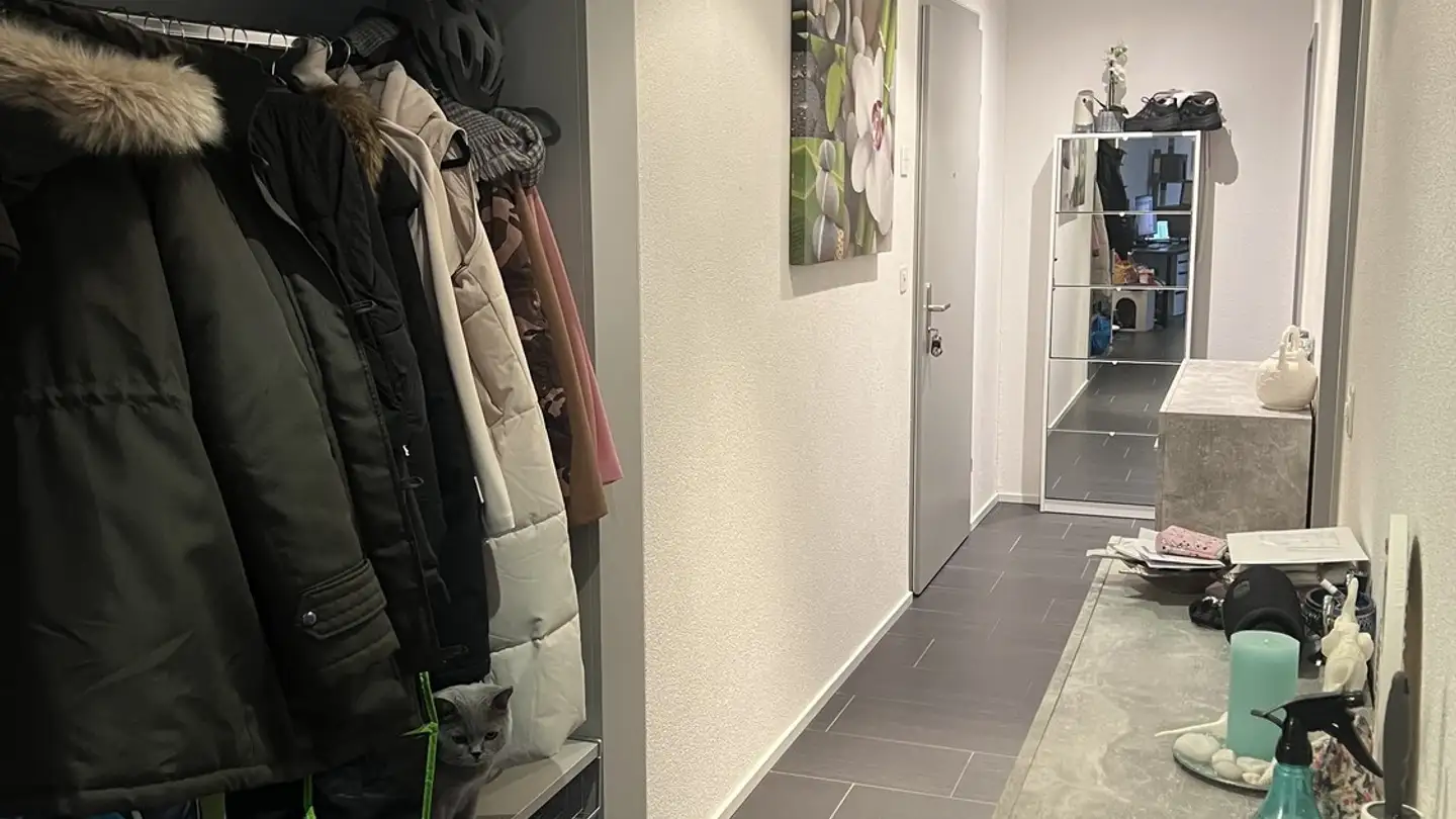 Appartement à louer - Schulstrasse 6, 5412 Vogelsang AG