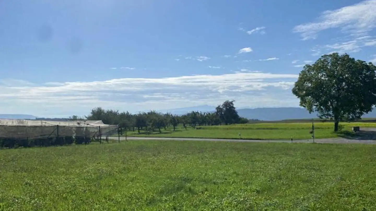 Terrain constructible à vendre - 8506 Lanzenneunforn
